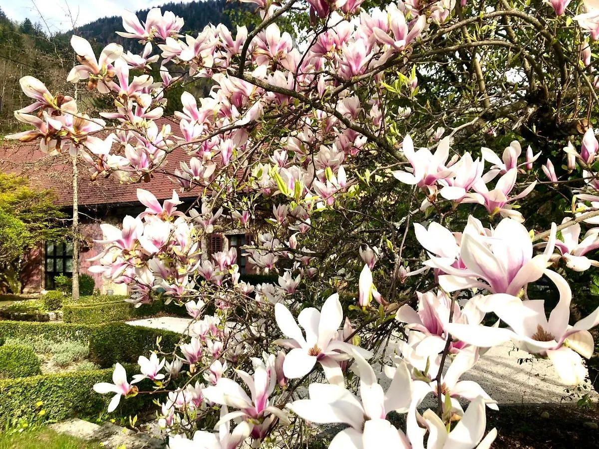 Gite Le Magnolia Thorens-Glieres 0*,  France